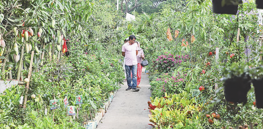 রাজধানীর শেরেবাংলা নগরে জাতীয় বৃক্ষমেলা প্রাঙ্গণে